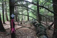 Bear Paw signage in forest