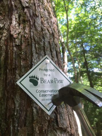 Bear Paw Greenways Easement Sign