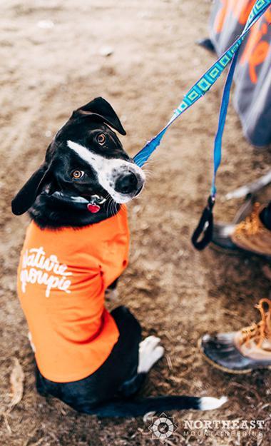 Chelsea dog by Cait Bourgault