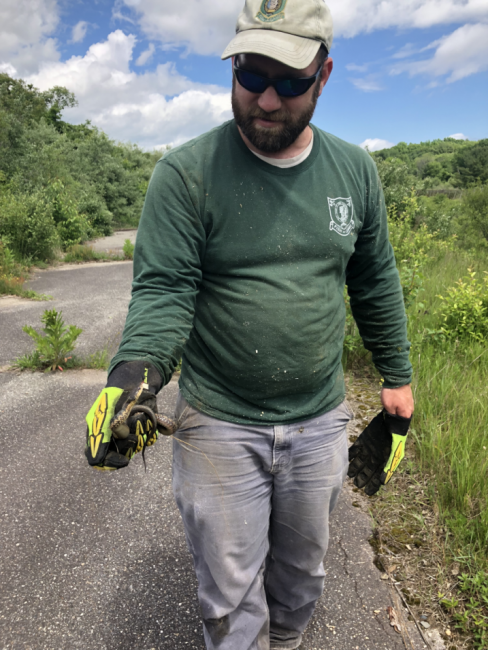 Holding a water snake