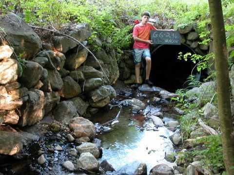 volunteer documenting culverts