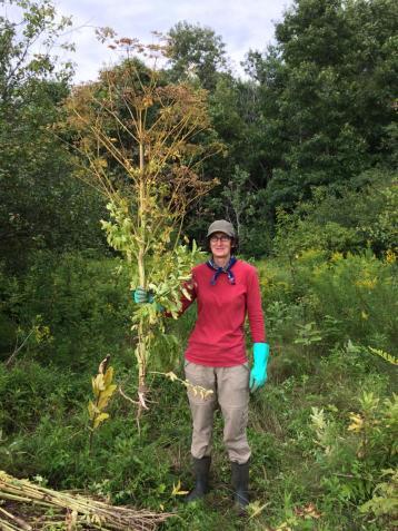 Ellen Snyder holding large parsnip