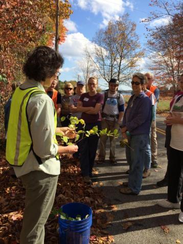 Ellen Snyder holding collected plants