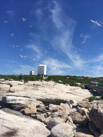 Isles of Shoals View