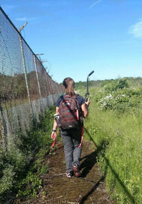 Morgan Martell tracking cottontails