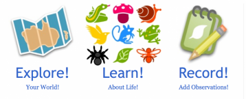explore, learn, record infographic