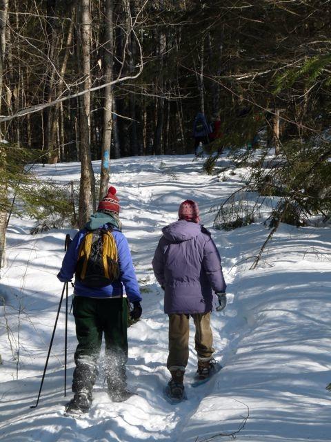volunteers snowshoeing
