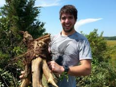 Tomás and invasives roots
