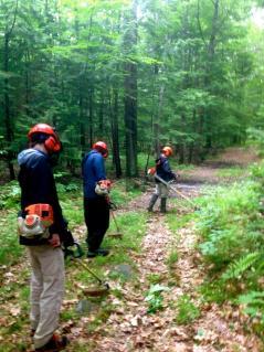 Weed Whacking in the field at UNH