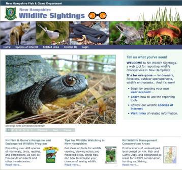 NH Wildlife Sightings Frontpage Photo