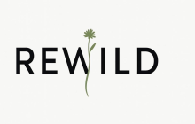 rewild logo