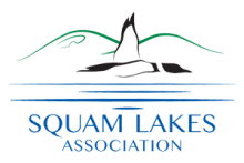 Squam Lakes Association logo