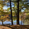 view of heron pond