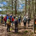 group of volunteers in the woods