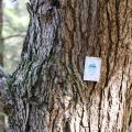 Easement Boundary Marker