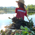 person canoeing with pulled invasive plants