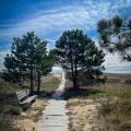 walkway over sand dune