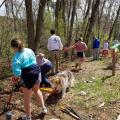 Volunteers removing invasive plants.
