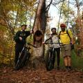 bikers on trail