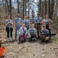 Invasive plants removal volunteers