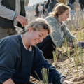 Volunteers planting on the dunes