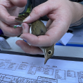 Bird Banding Forest Society