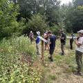 Volunteers looking at old field
