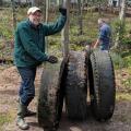 Volunteer cleaning up large tires in a forest