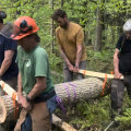 volunteers carrying tree