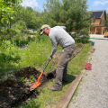 Volunteer planting plants with shovel