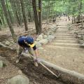 person clearing trail stair