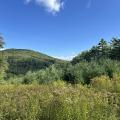 field in the mountains