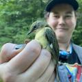 person holding banded song bird