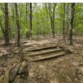 stairs on a trail