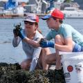 women and child looking at green crab on the coast