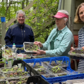 smiling volunteers planting
