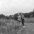 people looking at field of wildflowers