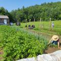 Garden workday