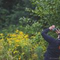 person using phone to identify plant