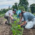 Garden volunteers 2