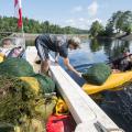 person on boat collecting aquatic invasives