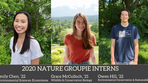 2020 Nature Groupie Interns all together corrected