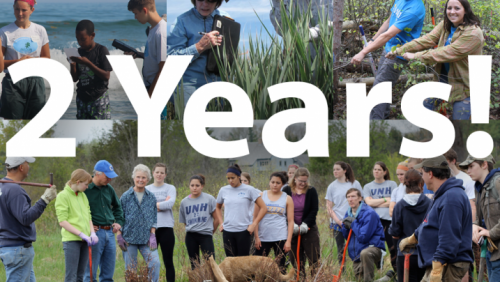 photo collage of volunteers working