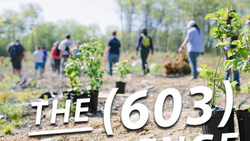 Nature Groupie 603 Challenge sq