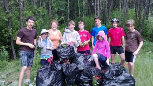 Garlic Mustard Volunteers