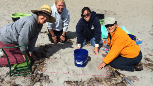 group collecting plastics