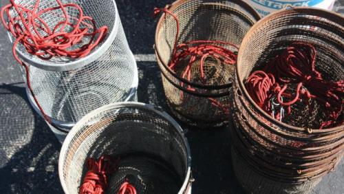 Minnow traps