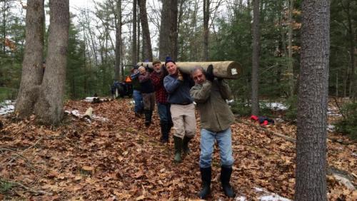 volunteers carry 20ft long pine pole