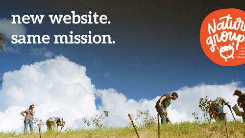 New Website Article Banner