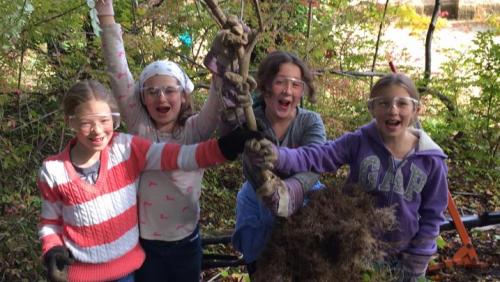 Students pulling invasive plants